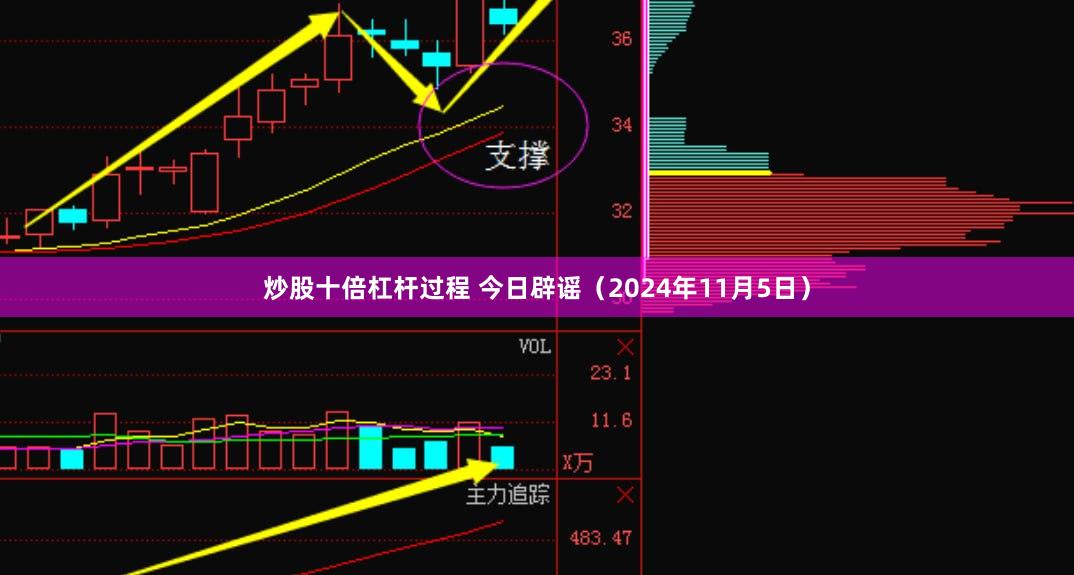 炒股十倍杠杆过程 今日辟谣（2024年11月5日）