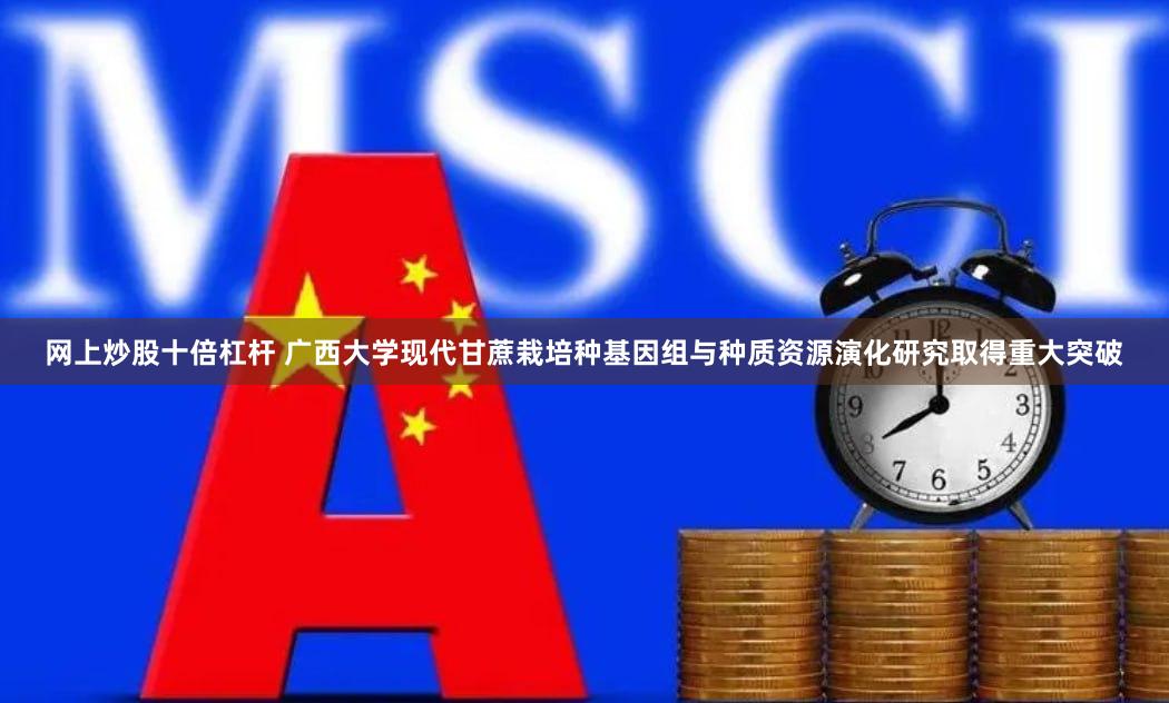 网上炒股十倍杠杆 广西大学现代甘蔗栽培种基因组与种质资源演化研究取得重大突破