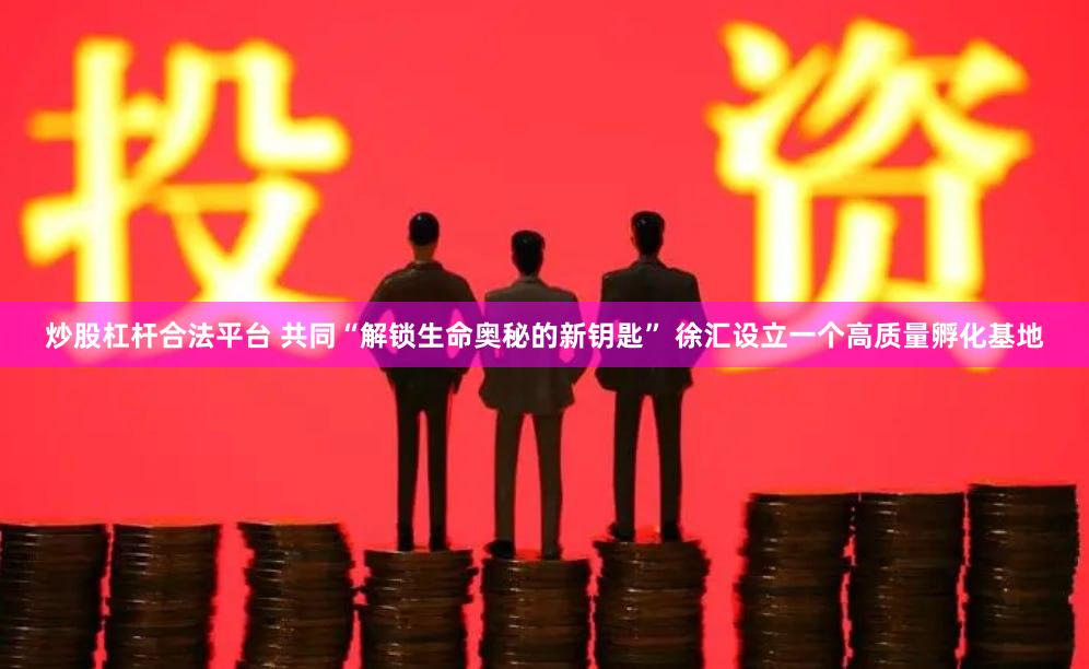 炒股杠杆合法平台 共同“解锁生命奥秘的新钥匙” 徐汇设立一个高质量孵化基地