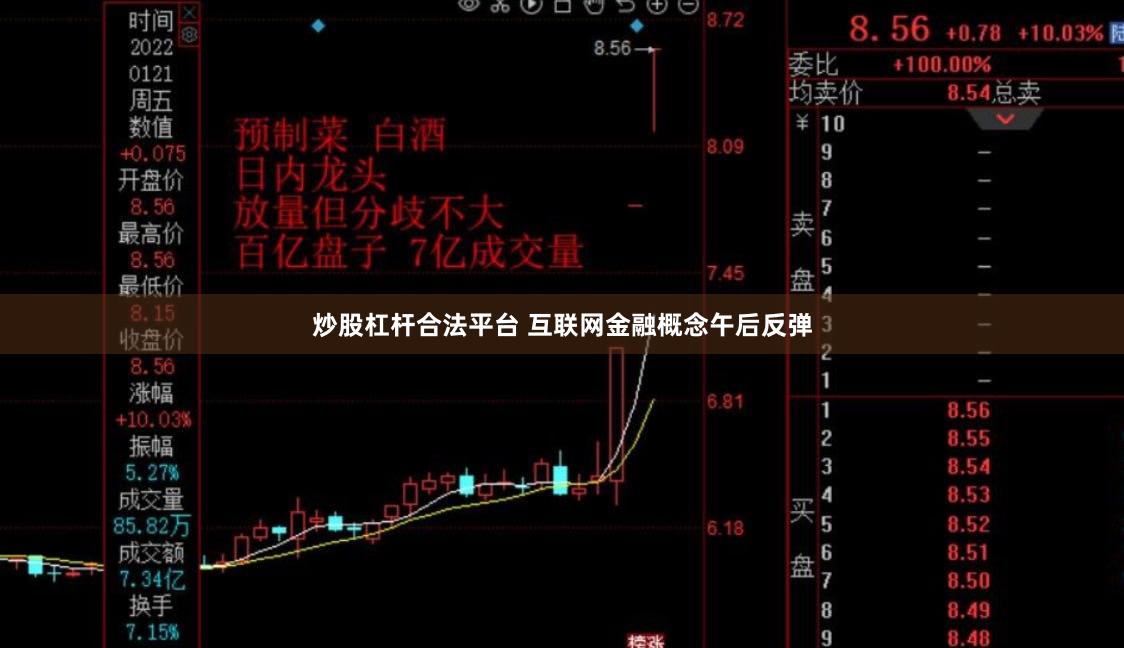 炒股杠杆合法平台 互联网金融概念午后反弹